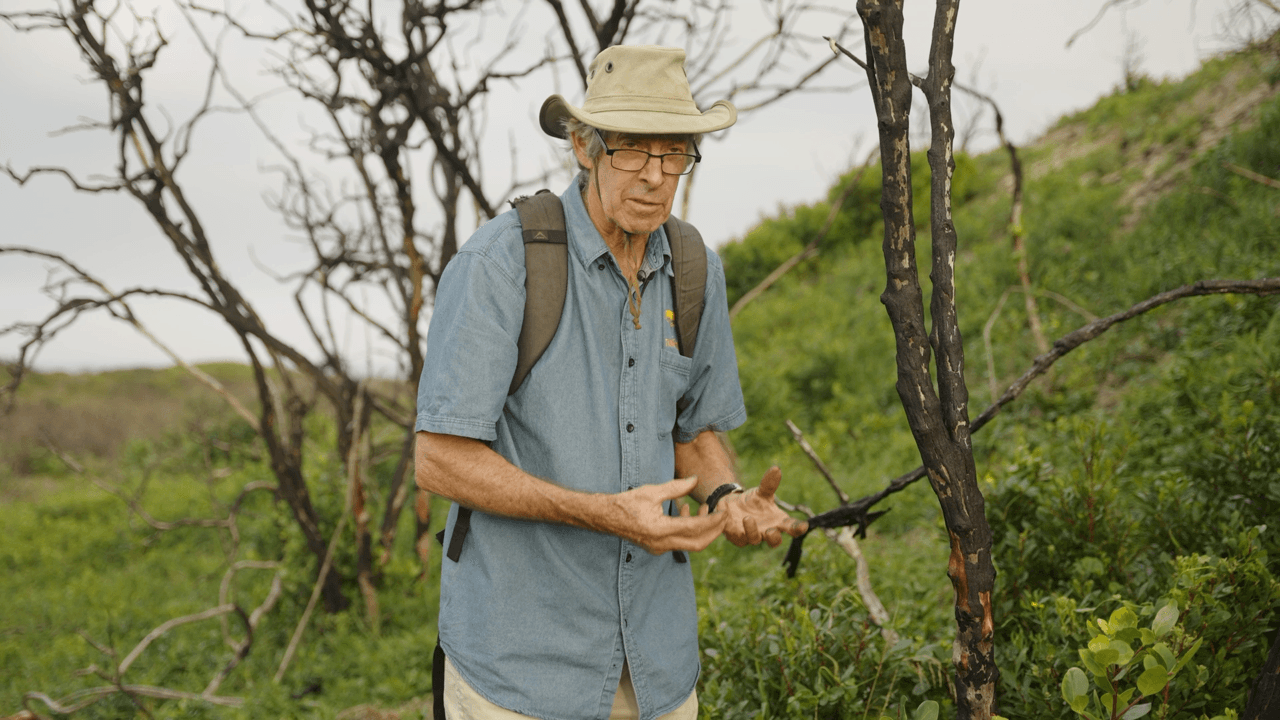 Foraging for Frame Wood
